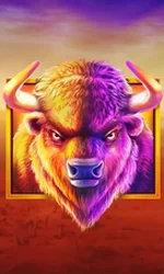 Buffalo King